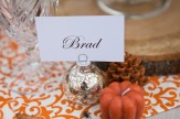 Fall name cards, pumpkin, pinecone, wood, rustic, outdoors, orange and white