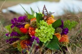 Urban Petals, fall bridal bouquet, green hydrangea, cherry brandy roses, scabiosa, craspedia, purple stock, orange tulips