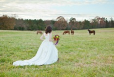 Urban Petals, bridal portrait on horse farm, outdoor rustic bridal portrait, horses, bride, pasture