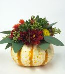Urban Petals, Greenville Florist, yeahthatgreenville, pumpkin arrangement, Taylors Mill, Anna Stouffer